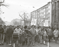 Bildausschnitt Infoflyer zum Beitrag, LSA